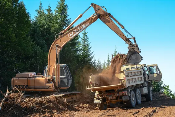 Wombet Casino Supporto